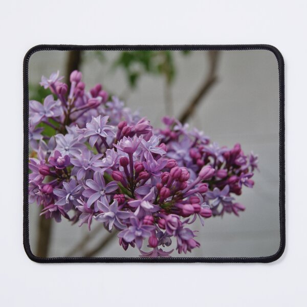 Item preview, Lilac designed and sold by moonlillie.