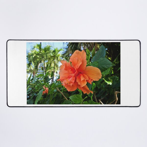 Item preview, Orange Hibiscus designed and sold by Jane Girardot.