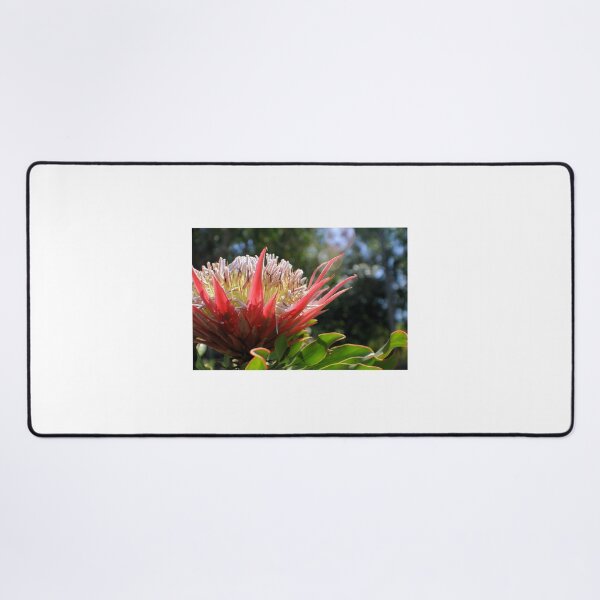 Item preview, Floral Bloom designed and sold by Jane Girardot.