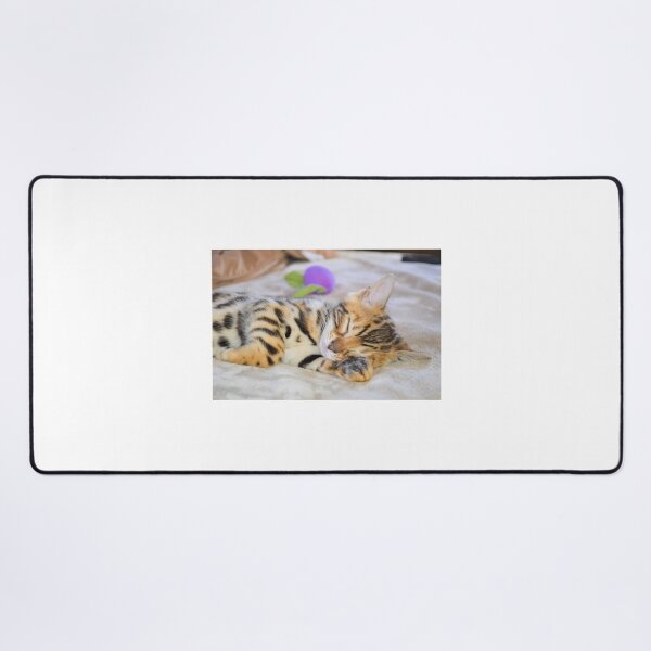Item preview, Bengal Kitten Sleeping designed and sold by Jane Girardot.