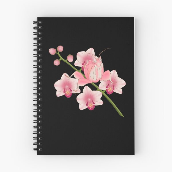 Item preview, Orchid Mantis, Beautiful Praying Mantis and Orchids II designed and sold by anacecilia.
