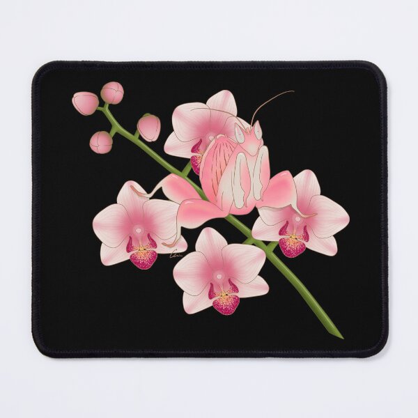 Item preview, Orchid Mantis, Beautiful Praying Mantis and Orchids II designed and sold by anacecilia.