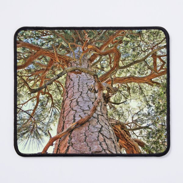 Item preview, View Up the Tree designed and sold by Jane Girardot.