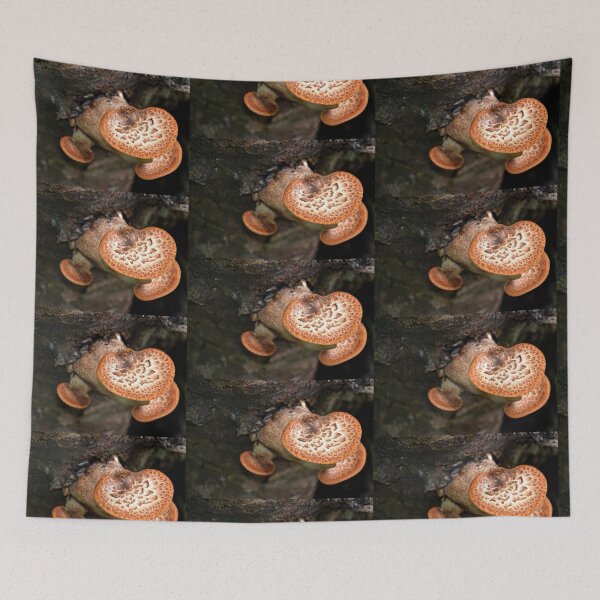 Item preview, Fungi in the garden .. Dorset UK designed and sold by lynn carter.