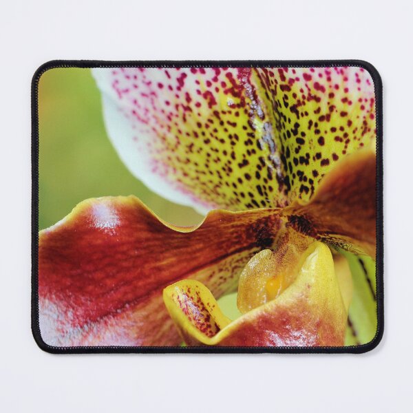 Item preview, Closeup Orchid designed and sold by Jane Girardot.