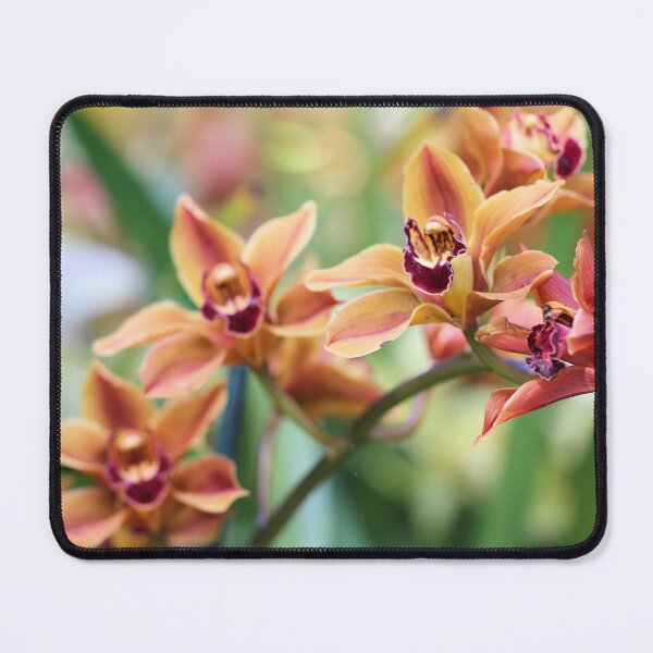 Item preview, Orchids designed and sold by Jane Girardot.