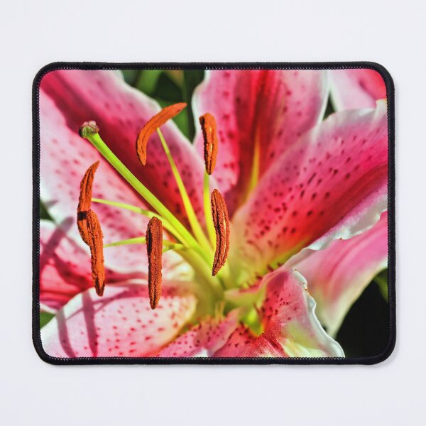 Item preview, Stargazer Lily designed and sold by Jane Girardot.