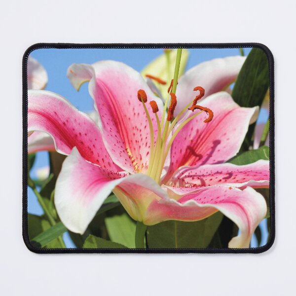 Item preview, Stargazer Lily designed and sold by Jane Girardot.
