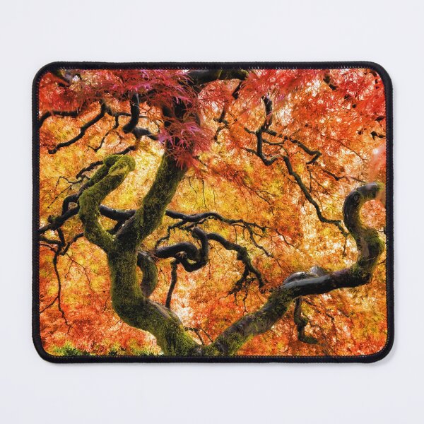 Item preview, Japanese Maple at Portland's Japanese Gardens designed and sold by Jane Girardot.