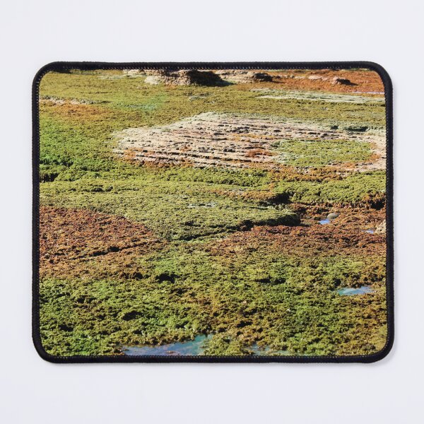 Item preview, Tidepools Sunset Cliffs designed and sold by Jane Girardot.