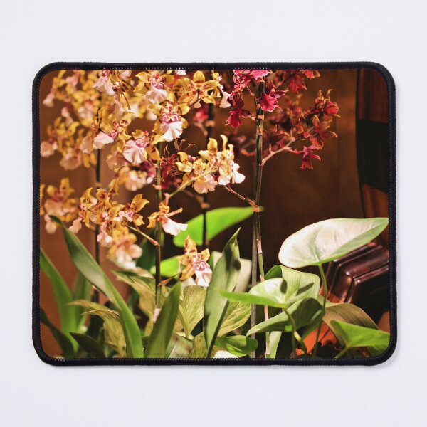Item preview, Orchid Arrangement designed and sold by Jane Girardot.
