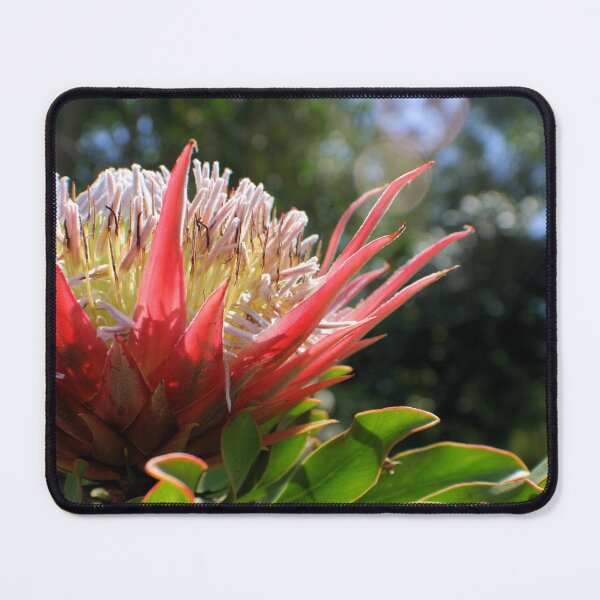 Item preview, Floral Bloom designed and sold by Jane Girardot.