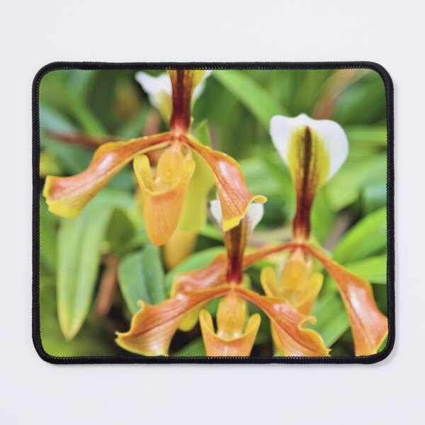 Item preview, Orchids designed and sold by Jane Girardot.