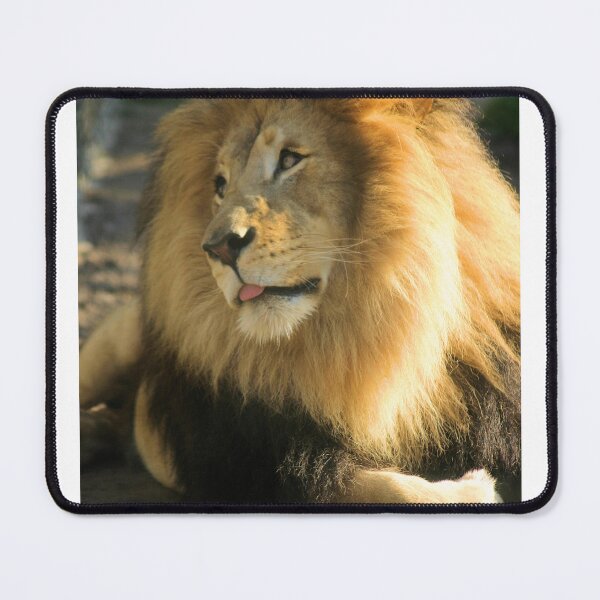 Item preview, Lion Posing designed and sold by Jane Girardot.