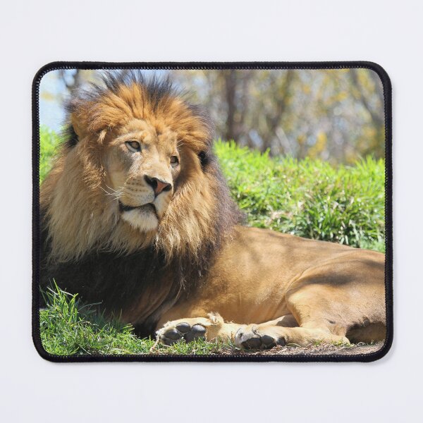 Item preview, Lion Resting designed and sold by Jane Girardot.