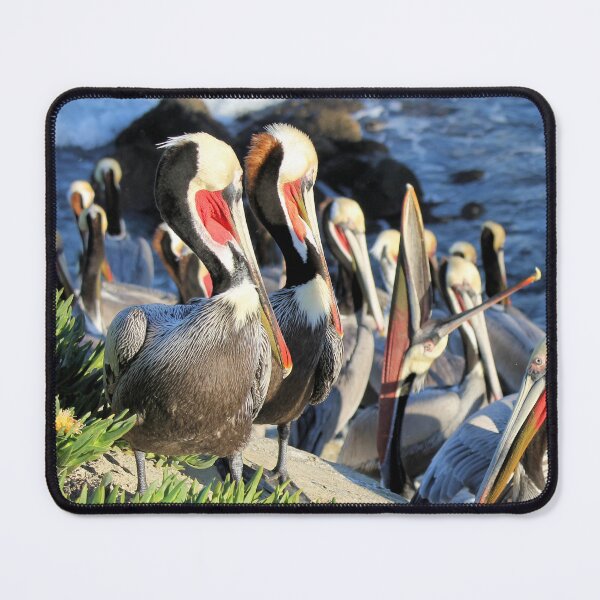 Item preview, Pelican Group designed and sold by Jane Girardot.