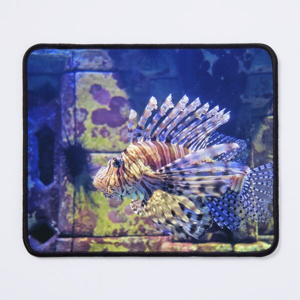 Item preview, Lionfish designed and sold by Jane Girardot.