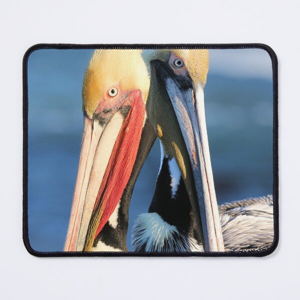 Item preview, Pelican Pair designed and sold by Jane Girardot.