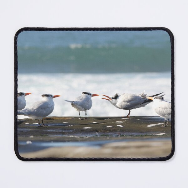Item preview, Shorebirds designed and sold by Jane Girardot.