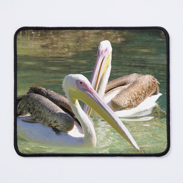 Item preview, Pelicans Swimming designed and sold by Jane Girardot.