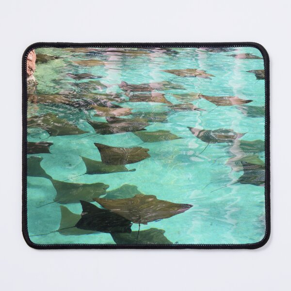 Item preview, Stingray Pond at the Atlantis designed and sold by Jane Girardot.