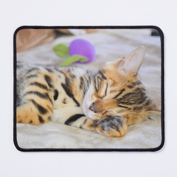 Item preview, Bengal Kitten Sleeping designed and sold by Jane Girardot.