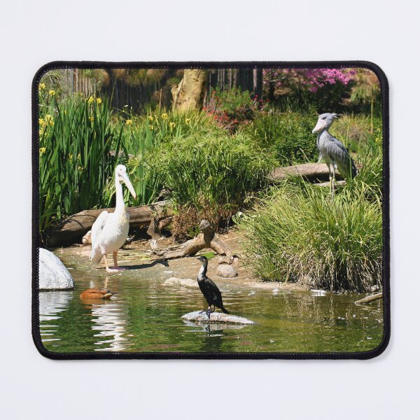 Item preview, Birds at Water's Edge designed and sold by Jane Girardot.