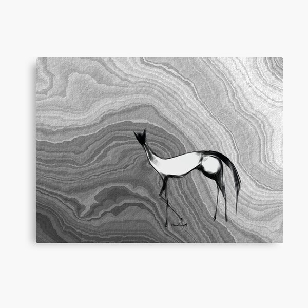 Untitled Canvas Print