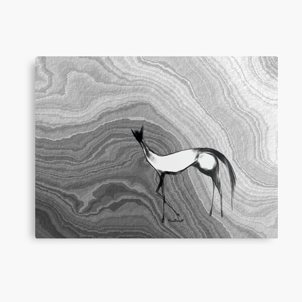 Untitled Metal Print