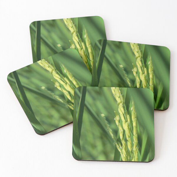 Item preview, rice plant designed and sold by Waraphot.
