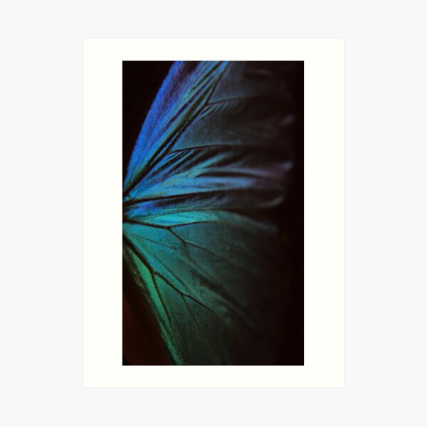 Morpho 1 Art Print