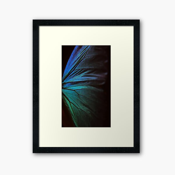 Morpho 1 Framed Art Print