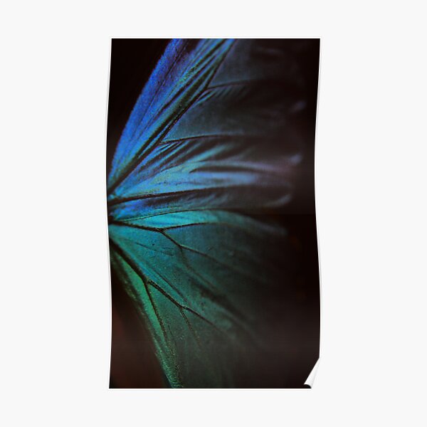Morpho 1 Poster