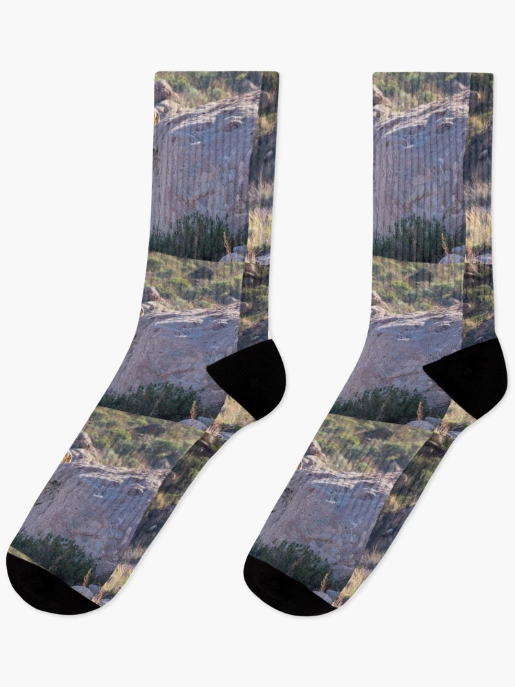 Thumbnail 1 of 5, Socks, Coyote Rocks designed and sold by PsychoAlien.com.