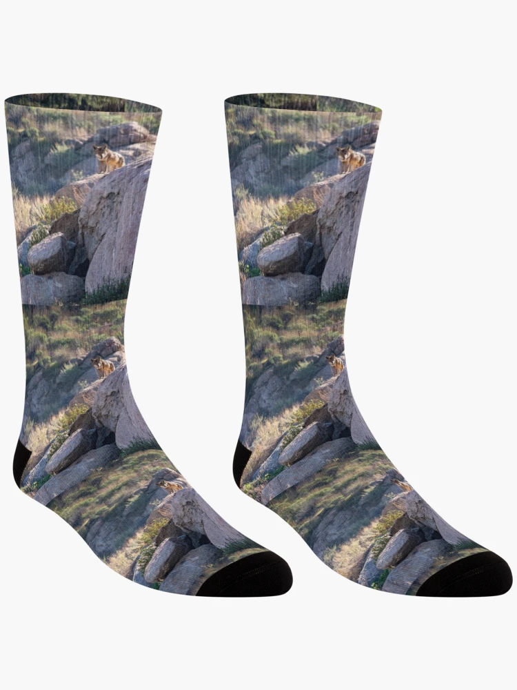 Thumbnail 3 of 5, Socks, Coyote Rocks designed and sold by PsychoAlien.com.