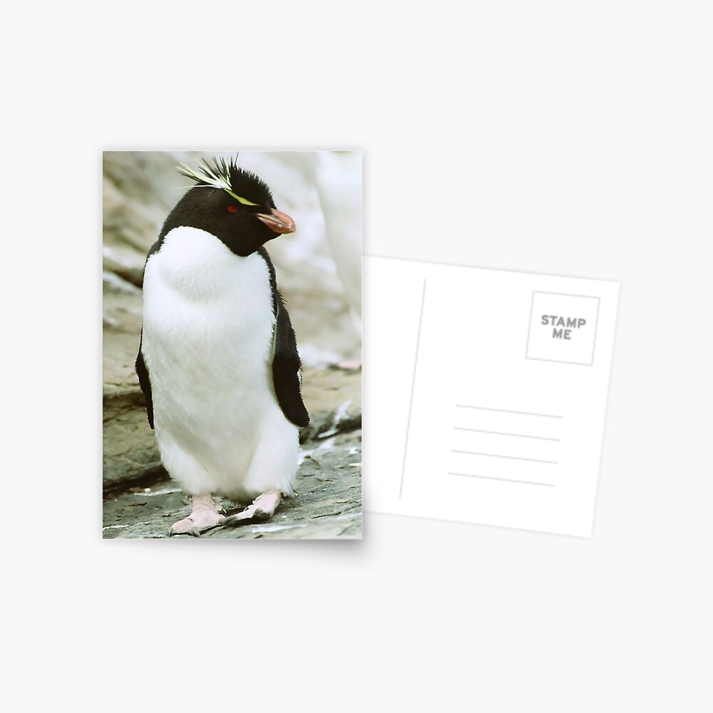 Item preview, Postcard designed and sold by SteveBulford.