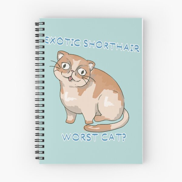 Item preview, Exotic Shorthair- worst cat? designed and sold by KameraKase.