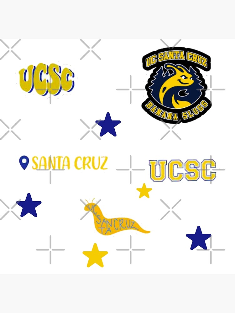 BESTSELLING UC Santa Cruz UCSC Student Sticker Magnet Value Pack