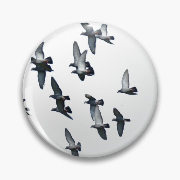 Item preview, Banded Pigeons designed and sold by hendrickssdh.