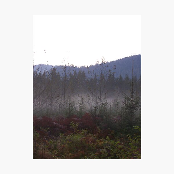 Item preview, evening fog designed and sold by michael griffith.