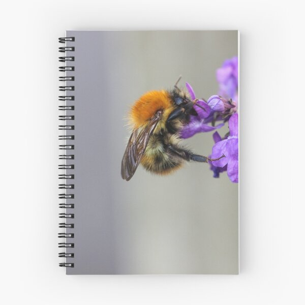 Item preview, bumble bee designed and sold by kaotic-shell.