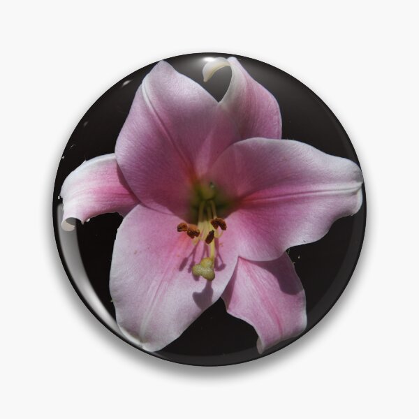 Item preview, Pink Lilly by Avril Thomas designed and sold by MagpieSprings.