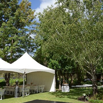 Artwork thumbnail, The Big Day - Magpie Springs - Adelaide Hills Wedding - Fleurieu Peninsula Wedding by South Australian artist Avril Thomas by MagpieSprings