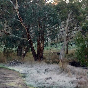 Artwork thumbnail, Frosty Morning - Adelaide Hills - Fleurieu Peninsula by South Australian artist Avril Thomas by MagpieSprings