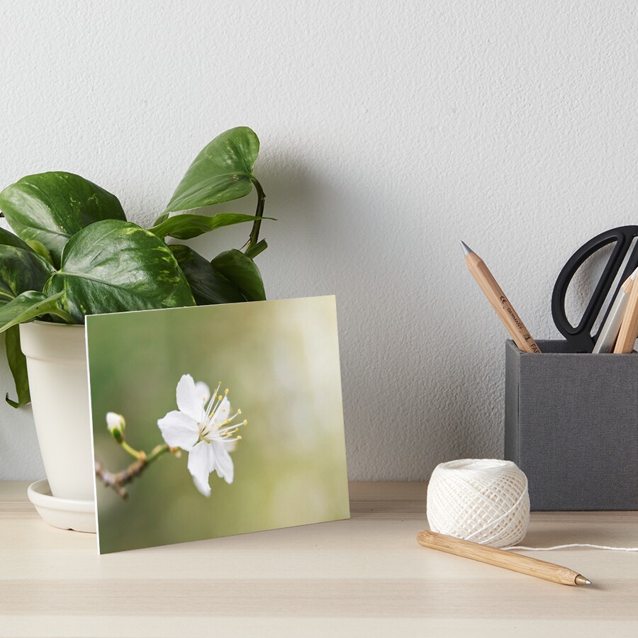 Item preview, Art Board Print designed and sold by fionasmith.