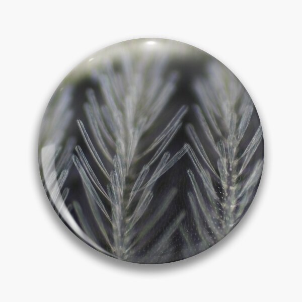 Item preview, Dark field micrograph of a mosquito wing designed and sold by SDym Photography.