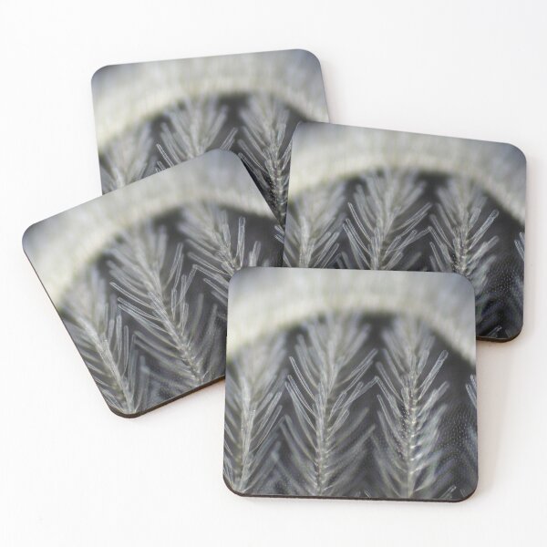 Item preview, Dark field micrograph of a mosquito wing designed and sold by SDym Photography.