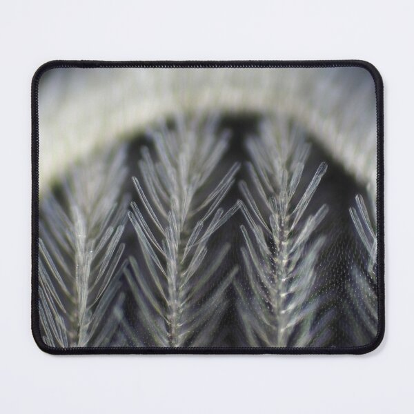 Item preview, Dark field micrograph of a mosquito wing designed and sold by SDym Photography.
