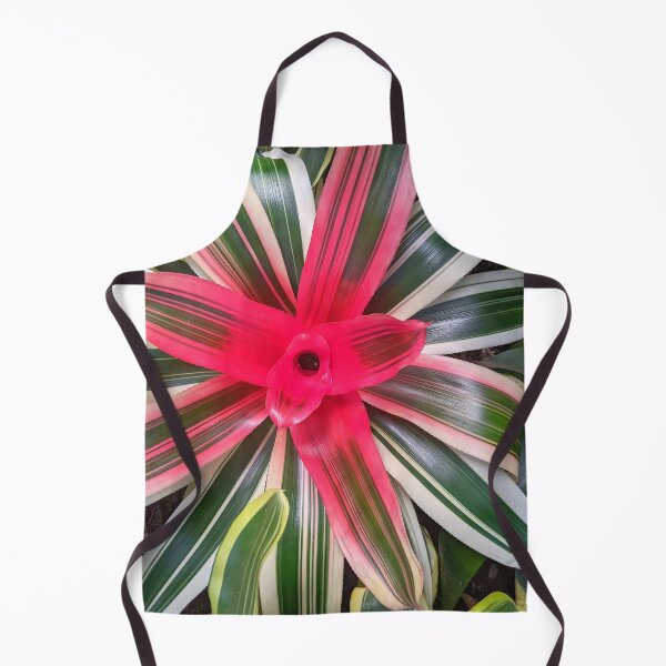 Artikelvorschau, Neoregelia Bromelie 'Madame Van Durme' entworfen und verkauft von Shapes-Mania.