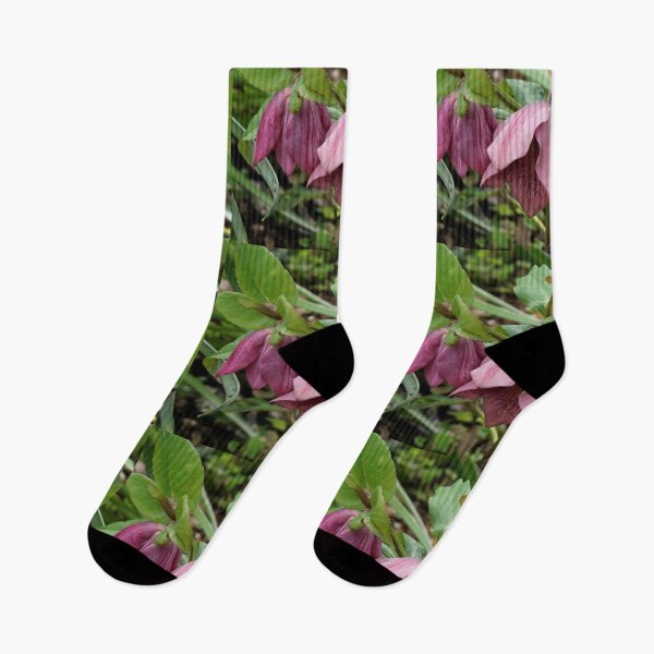 Item preview, Pink Hellebore Flowers designed and sold by Honey Myrtle Studio.